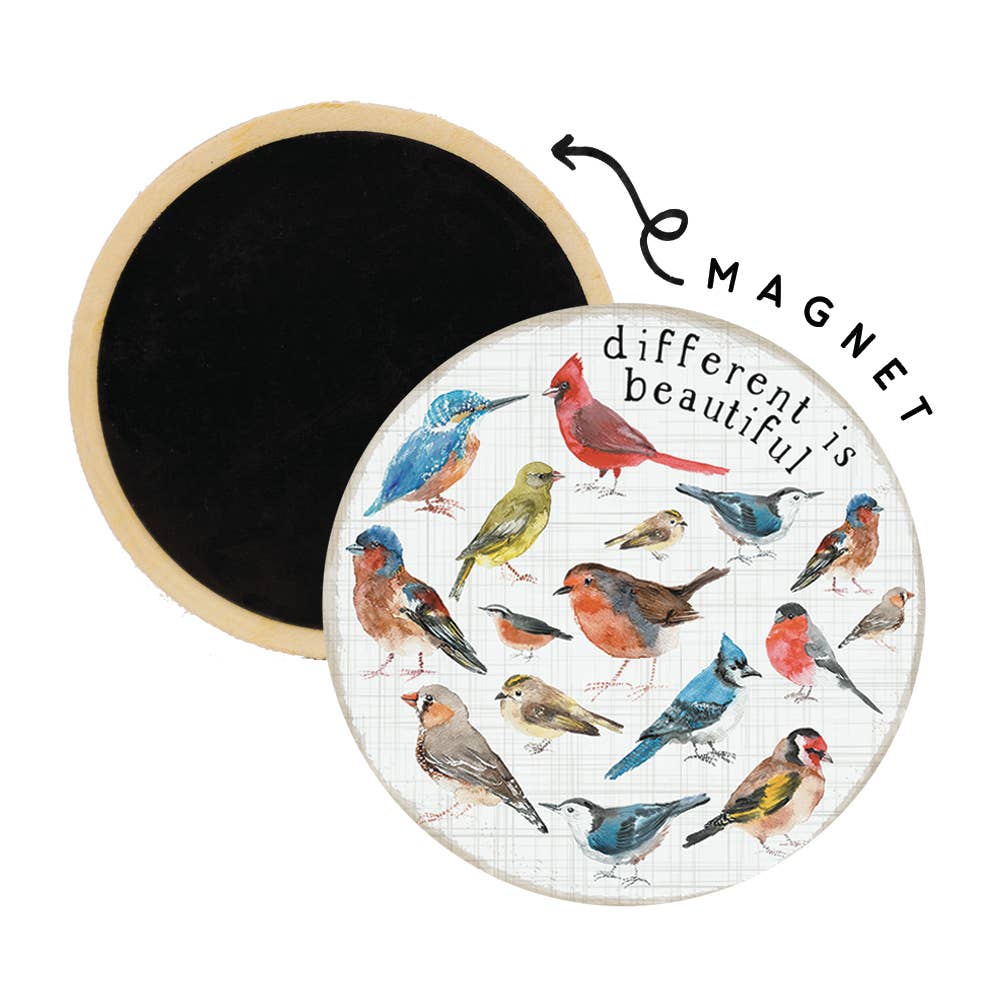 Different Beautiful Birds - Round Magnets